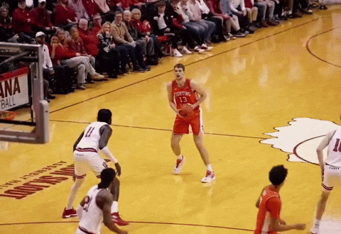 giphy.gif