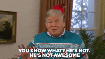 Donald Trump Reindeer GIF by Sassy Justice
