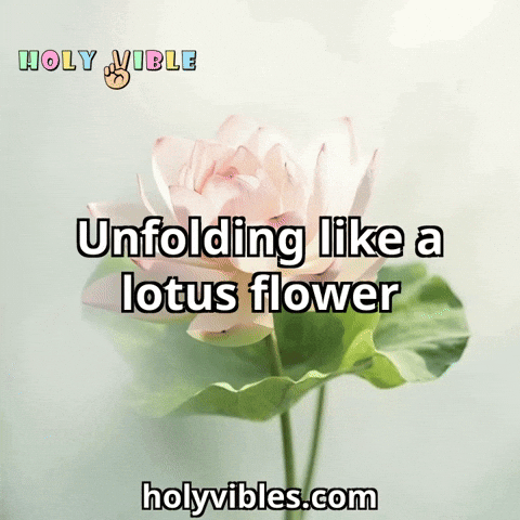 Comedy Unfolding GIF by Holy Vibles