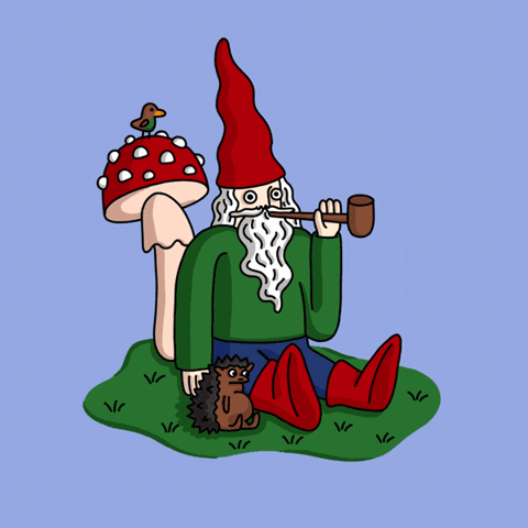 Bird Gnome GIF by Shenja