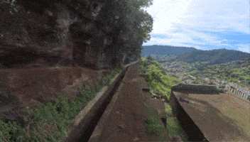 Trail Run Running GIF by runletters