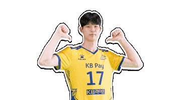 Kb스타즈 Sticker by KB STARS VOLLEYBALL CLUB