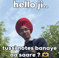 Punjabi Irl GIF