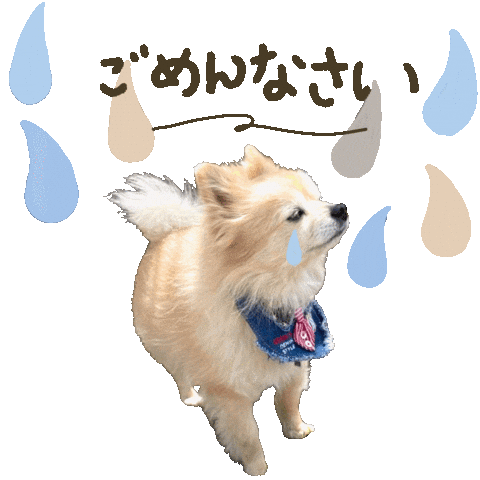 パルレオ Sticker