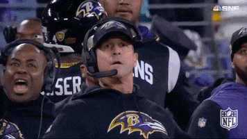 Baltimore Ravens Yes GIF by NFL