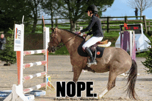 Equestrian_News fail horse jumping horses GIF