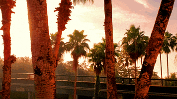 People Mover Travel GIF by Orlando International Airport (MCO)