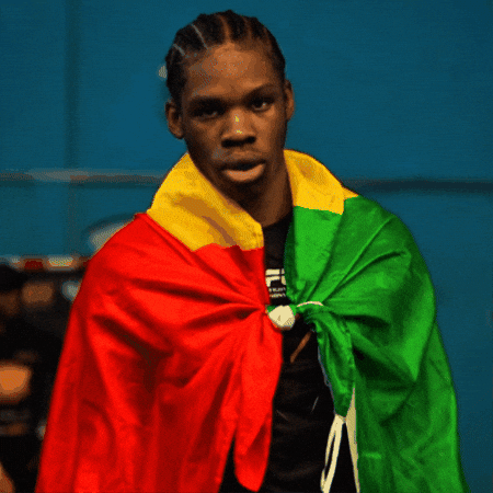 Knockoutnews GIF