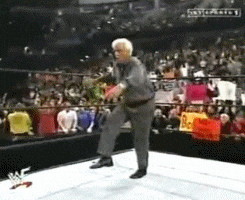 Image result for Ric flair strut gif