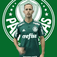 Palmeiras não tem mundial ( Ate a kombi sabe) on Make a GIF