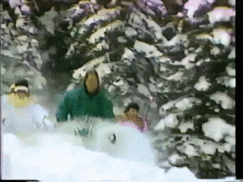 ski skiing GIF