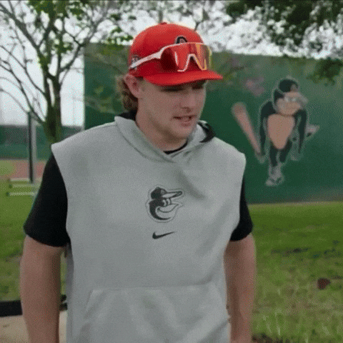 Baseball Mlb GIF