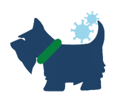 Dog Fashion Sticker by Ferrioni