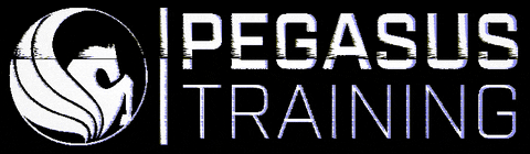 Pegasus Training GIF