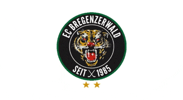 Hockey Ecb GIF by EC Bregenzerwald