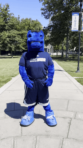 Horse Thumbs Up GIF by UC Davis