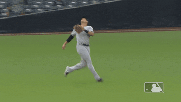 Rolling Roll With It GIF by MLB
