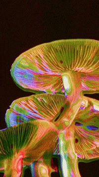 Art Love GIF by Lucie Mullen Art Love GIF by Lucie Mullen
