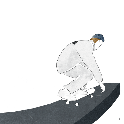 Skate Skateboard GIF