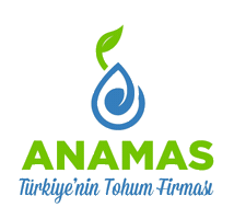 Seed Sticker by Anamas Tohum