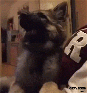 giphy.gif?cid=4d1e4f29b8e1d7ac1af57e9c882ed2d6dbd772069f0eb69a&rid=giphy.gif
