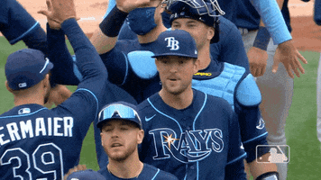 High Five Tampa Bay GIF by MLB