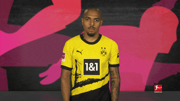 Borussia Dortmund Shush GIF by Bundesliga