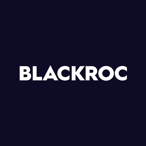 Logo Brand GIF by BLACKROC