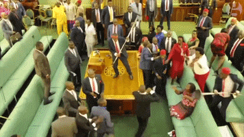 Uganda Parliament GIF