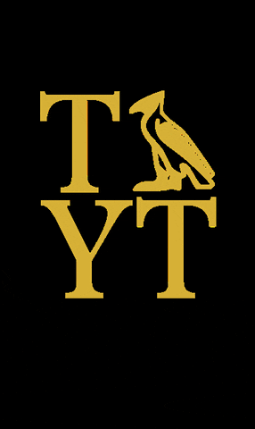 TAYT GIF