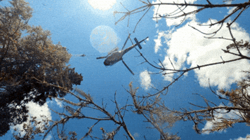 Drop Wildfire GIF by SOPFEU