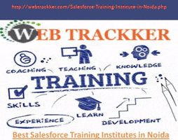 Salesforce Trainnig In Noida GIF
