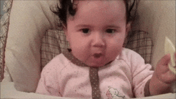 babies lemons GIF