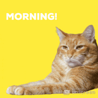 Gmorning GIFs - Get the best GIF on GIPHY