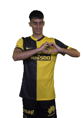 We Love You Heart Sticker by BSC Young Boys