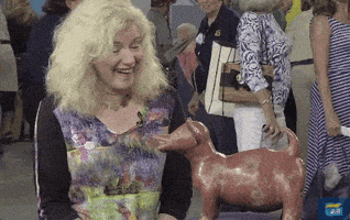 laugh surprise GIF by ANTIQUES ROADSHOW | PBS