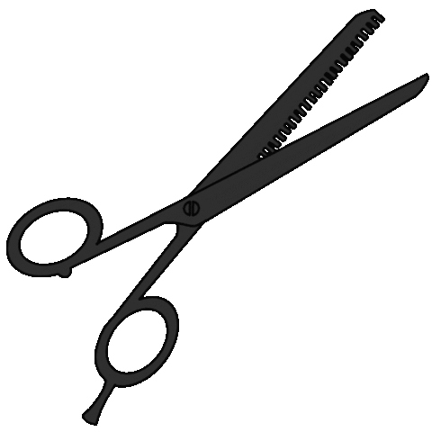 Signatures Salon Sticker