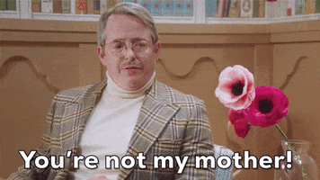 matthew broderick youre not my mom GIF by truTV’s At Home with Amy Sedaris