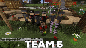 Team5 GIF
