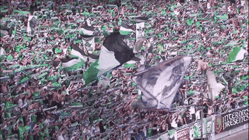 fans supporters GIF by AS Saint-Etienne
