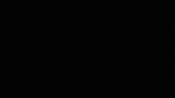 Precision GIF