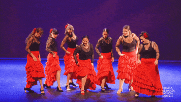 Flamenco Patriciabeltran GIF by Oriental Dance on line