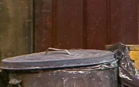 Oscar The Grouch 10000 Post GIF