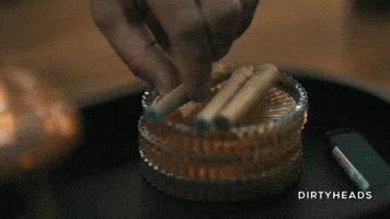 Dirty Heads Smoking GIF by Better Noise Music