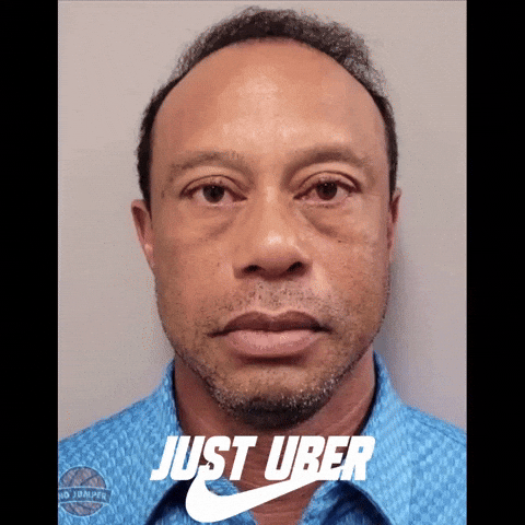 Drunk Tiger Woods GIF