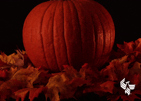 Trick Or Treat Halloween GIF by University of Phoenix