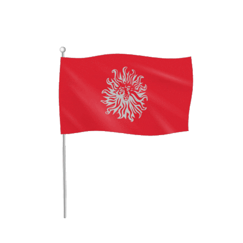 Logo Flag Sticker by Publicis Dominicana