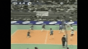 Vintage Power GIF by Volleyball World