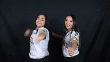 Softball Bethel GIF by Thresher Sports