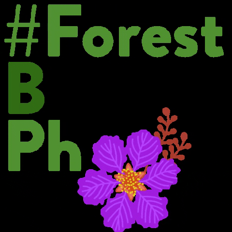 cynthiabauzonarre flower flowers philippines filipino GIF